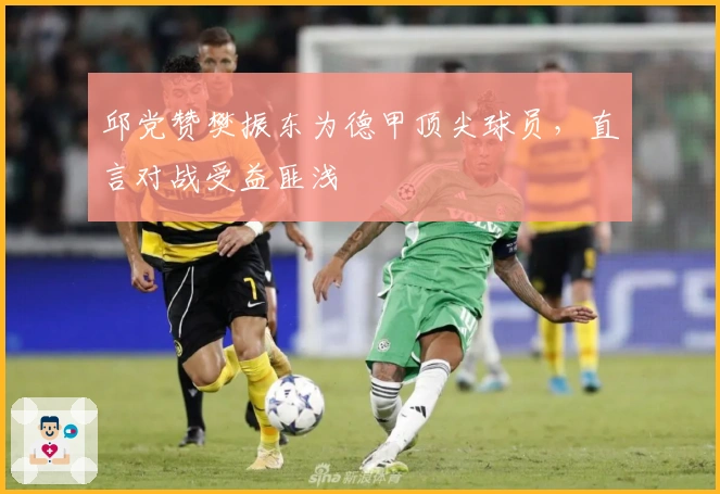 邱党赞樊振东为德甲顶尖球员，直言对战受益匪浅